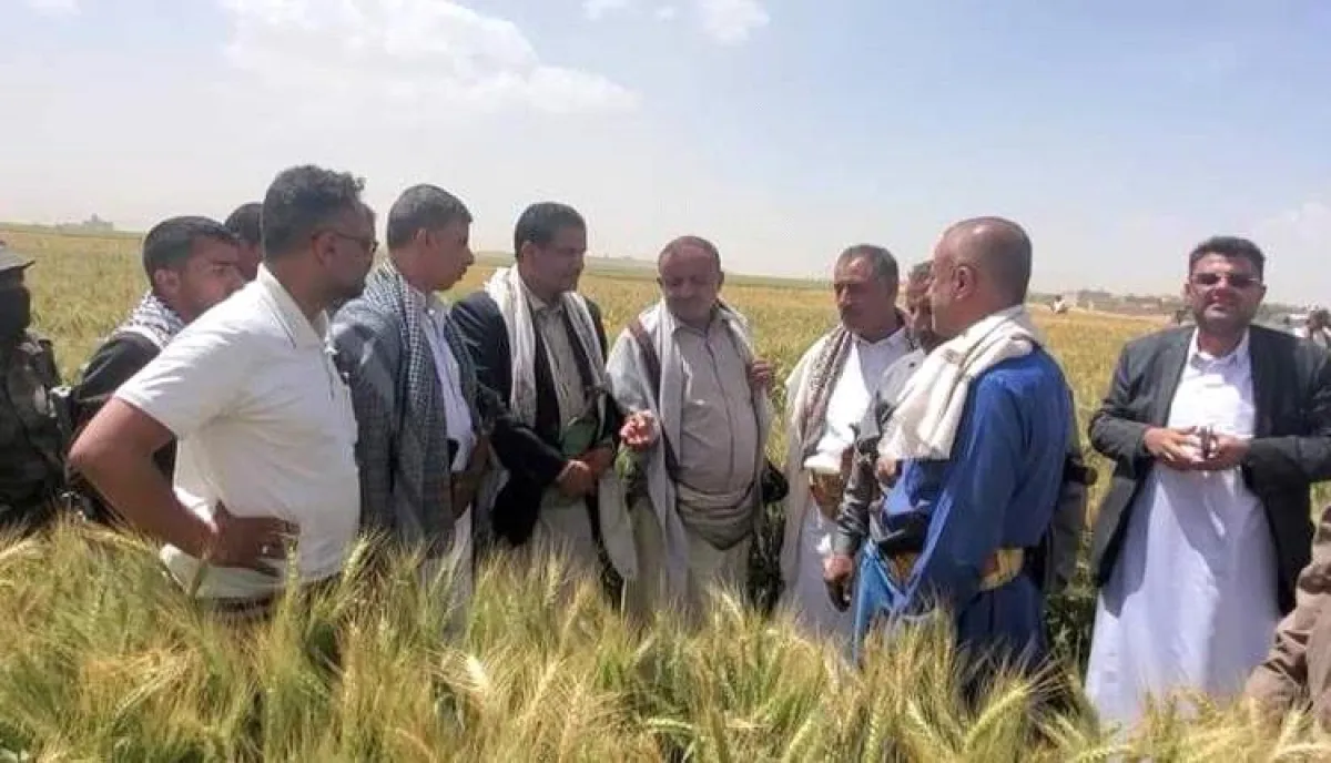 اسرار | بالتفاصيل- فضيحة حوثية تدمر قطاع الزراعة.. توزيع بذور خطيرة للمزارعين في الجوف