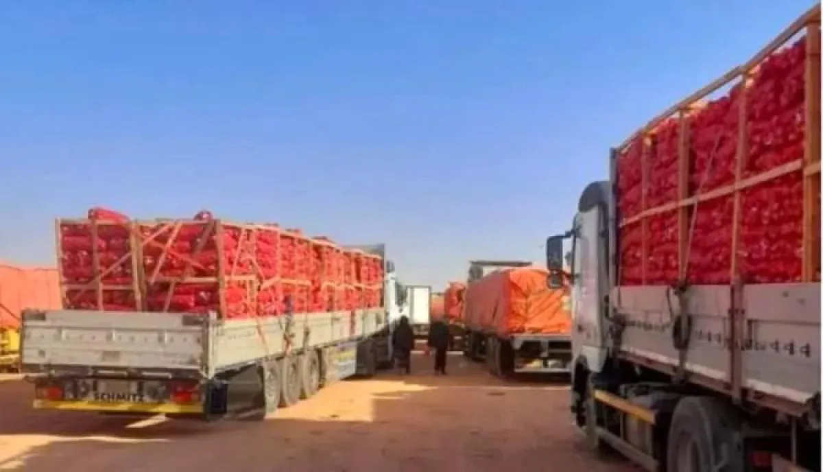 اسرار | بالارقام والتفاصيل- خسائر فادحة بالملايين.. مئات الشاحنات محملة بالبضائع متوقفة في منفذ الوديعة