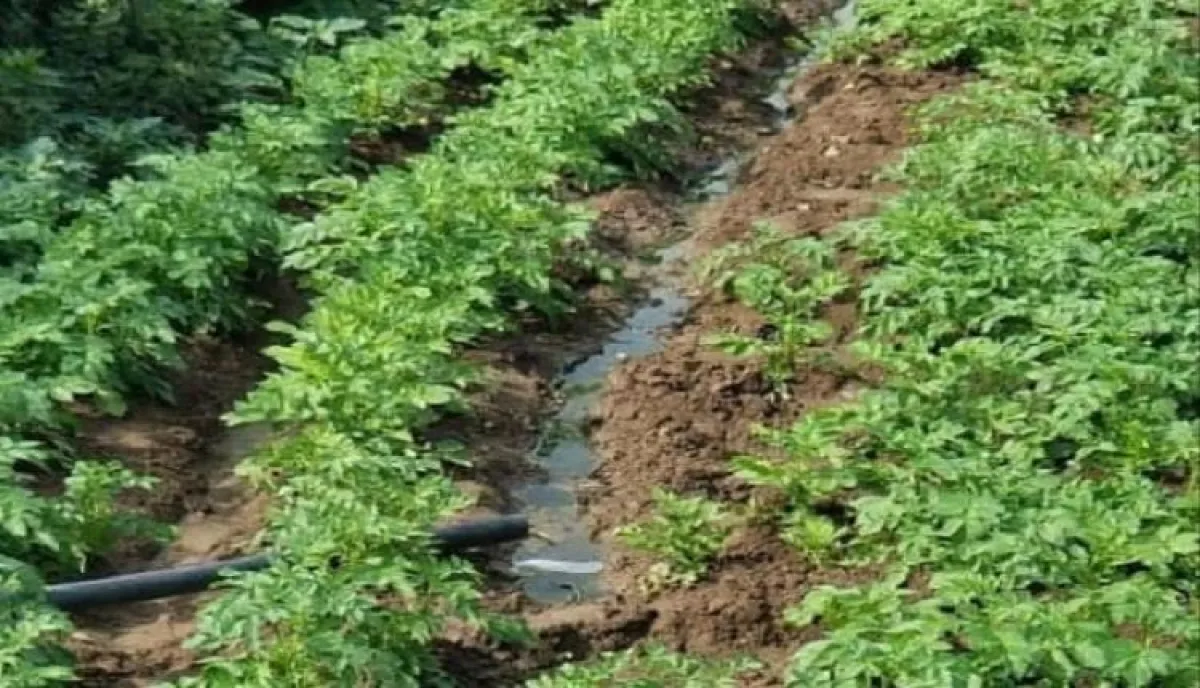 اسرار | بالاسماء والتفاصيل: كارثة في إب .. قيادي حوثي يتحدث عن وصمة عار على جماعته بالمحافظة