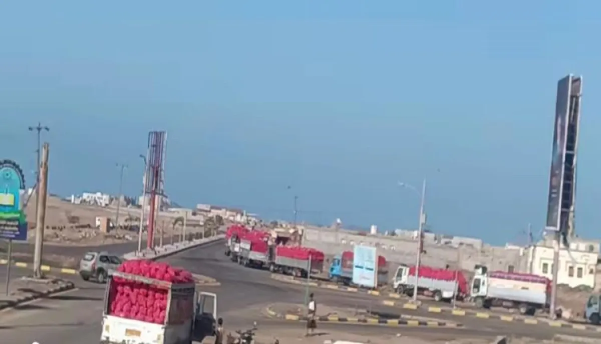اسرار | بالتفاصيل.. ميناء المخا يعود للحياة مع حركة تصدير قياسية للبصل المحلي