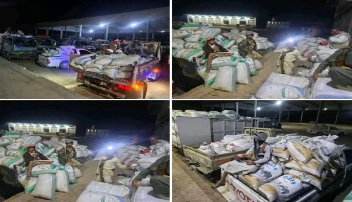 اسرار | بالتفاصيل- مليشيا الحوثي تمنع بيع القمح في الجوف وتكبد المزارعين خسائر كبيرة بموسم الحصاد