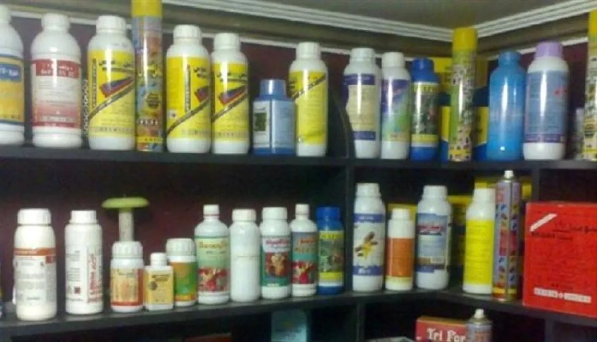 اسرار | وثائق الإدانة: "صكوك الغفران" مقابل الدولارات| تجارة الموت الأخضر: كيف حولت مليشيا الحوثي مزارع اليمن إلى "حقول تجارب" للسموم المحظورة؟ إمبراطورية "دغسان" والحماية الفوقية