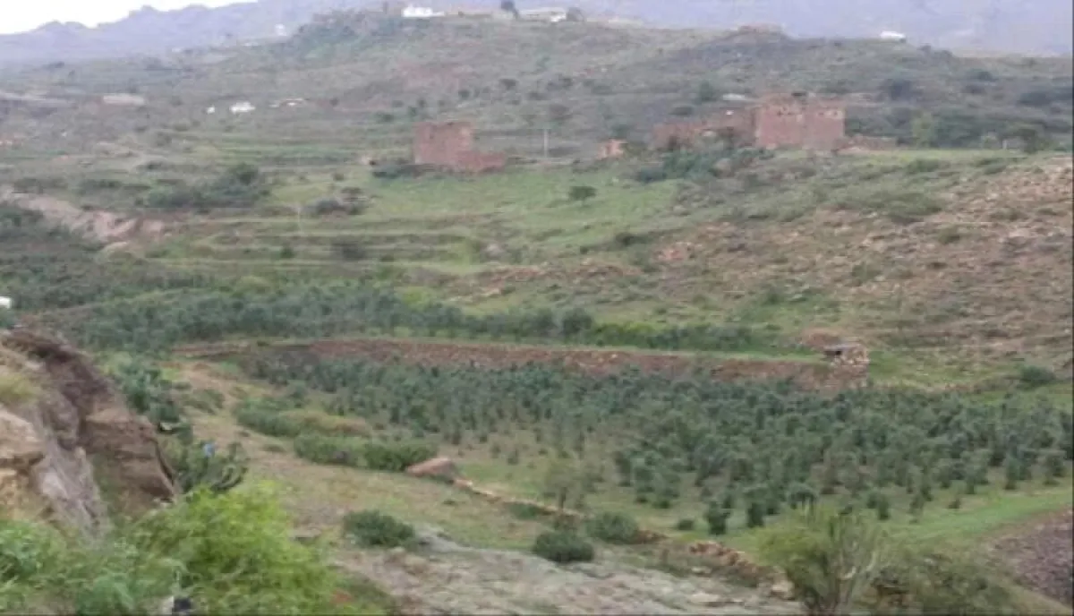 اسرار | بالاسماء والتفاصيل.. صنعاء تهتز بفاجعة أبوين وابنتهما في ظل فشل إداري حوثي