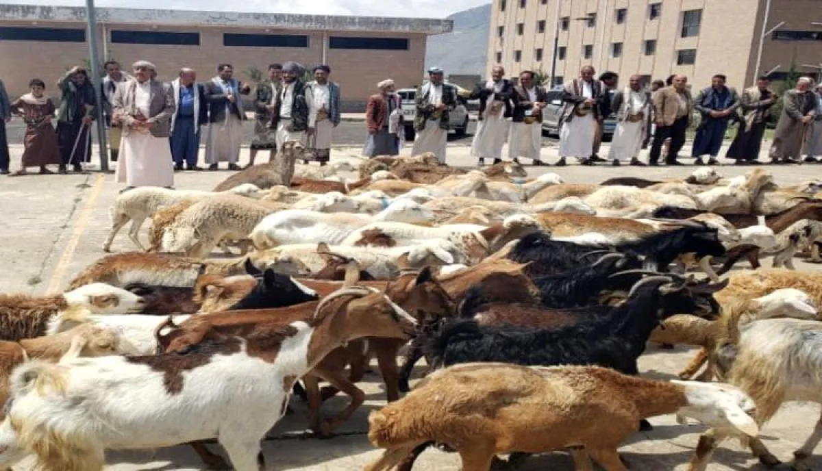 اسرار | بالارقام والتفاصيل- العيد المر في صنعاء.. الحوثيون ينهبون لقمة العيد من أفواه الجائعين