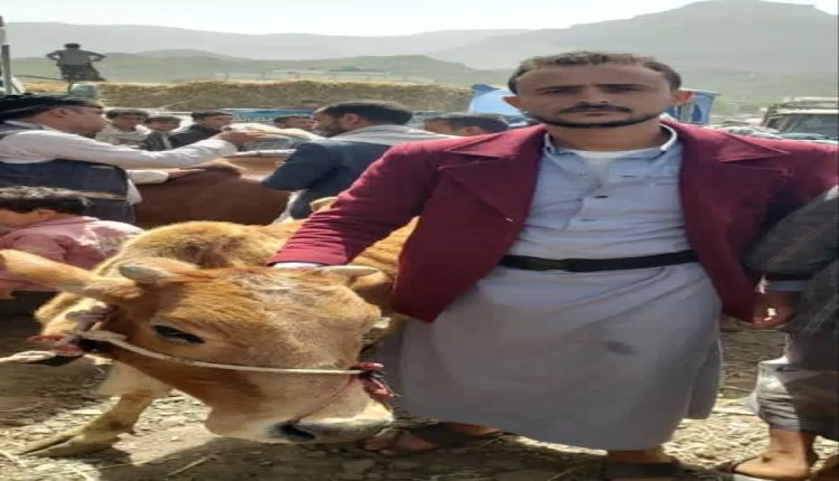 اسرار | بالاسماء والتفاصيل- اشترى بقرة فزُجّ به في السجن.. مليشيا الحوثي تعتقل مواطن في إب لسبب لا يُصدق