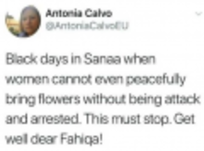 قالت: (أيام سيئة (سوداء) في صنعاء..).. رئيسة بعثة الاتحاد الأوروبي تهاجم الحوثي بسبب الاعتداء على أنصار صالح وهذا ما قالت..