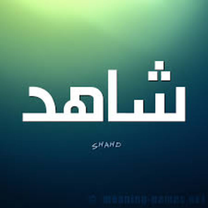 شاهد| ألف قتيل حوثي من أجل هذه الصورة