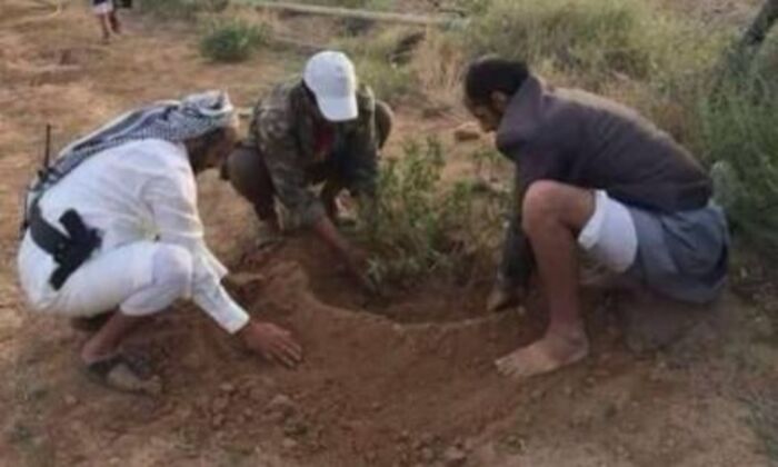 اسرار| شاهد.. العميد طارق صالح يغرس شجرة التفاح في المخا وماهي الرسالة التي أراد توجيهها للحوثيين .. صورة